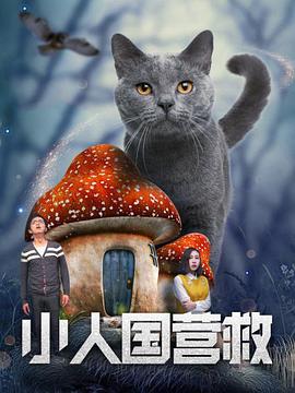 X小姐